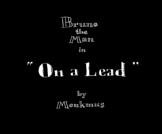 leadtitle